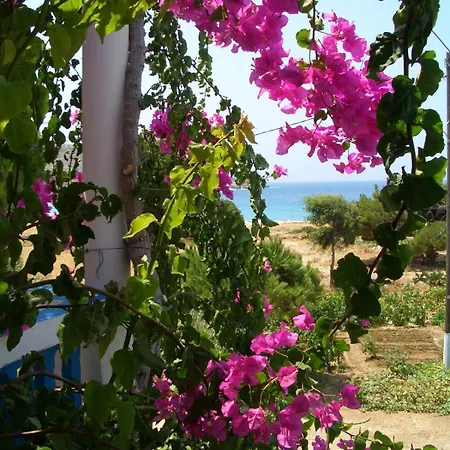 Akrogiali Apartament *