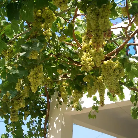 Akrogiali *