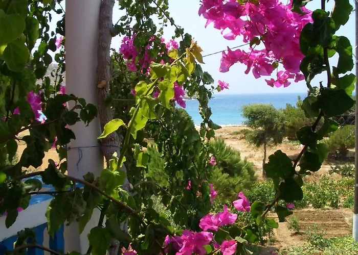 Akrogiali Appartement *